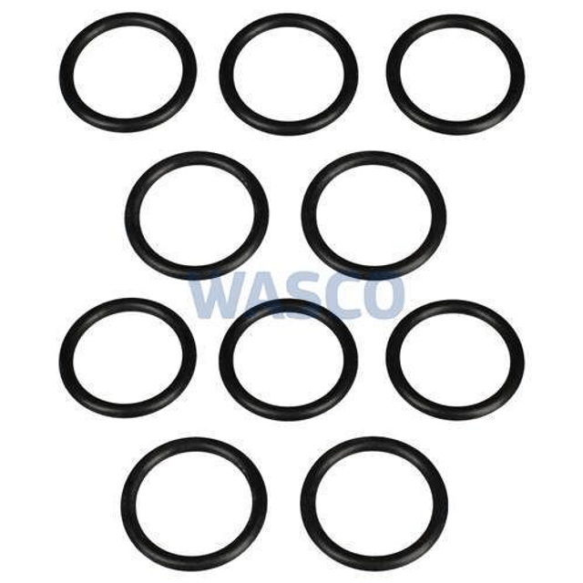 V-981170   O-ring p/st