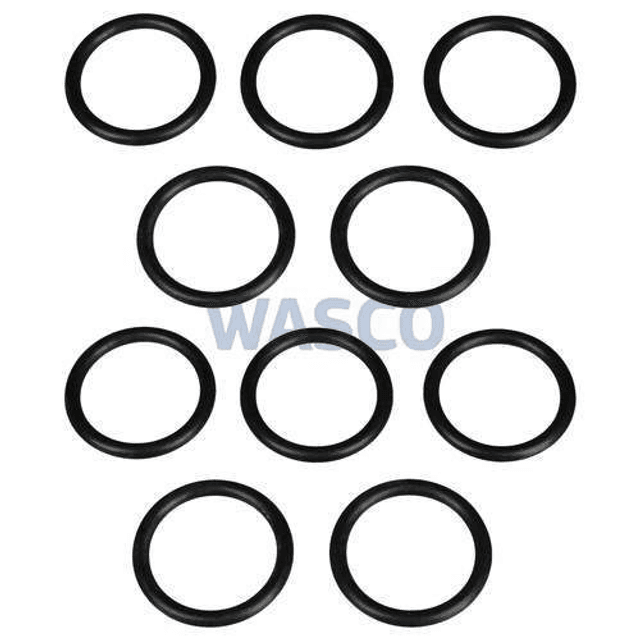V-981170   O-ring p/st