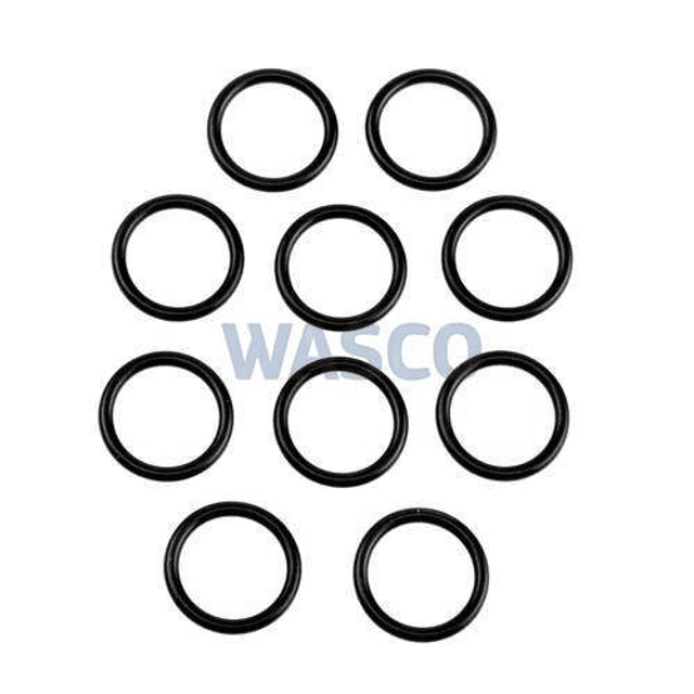 7099166 Nefit O-ring  22 x 2,5 mm p/st